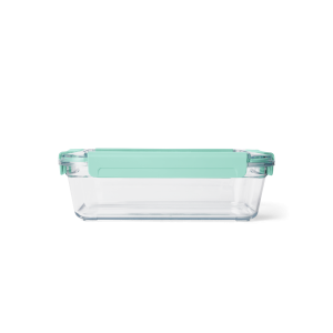 Large Plastic Food Storage